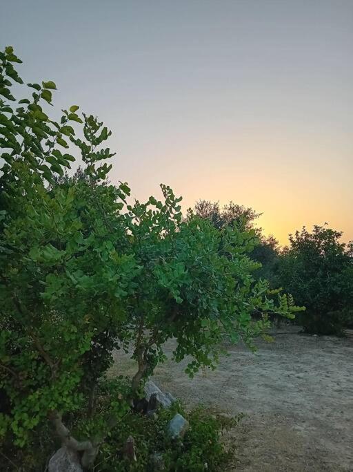 Sofia'S Summer House Koróni Екстериор снимка